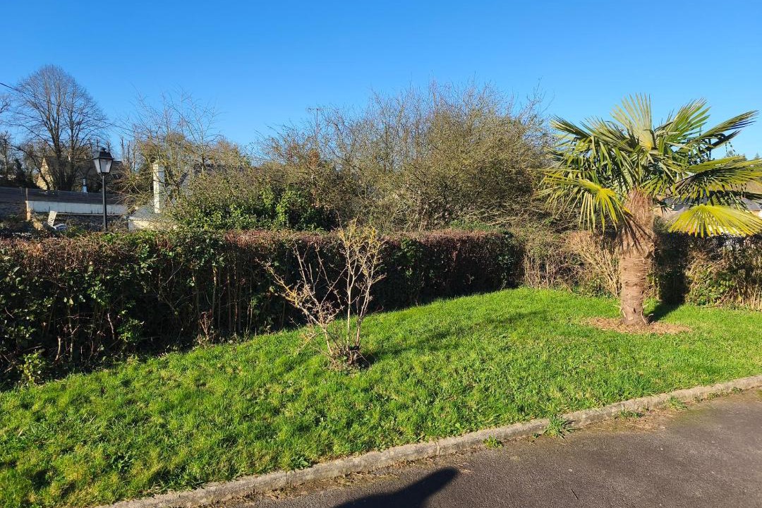 Photo of Others in Saint-Berthevin