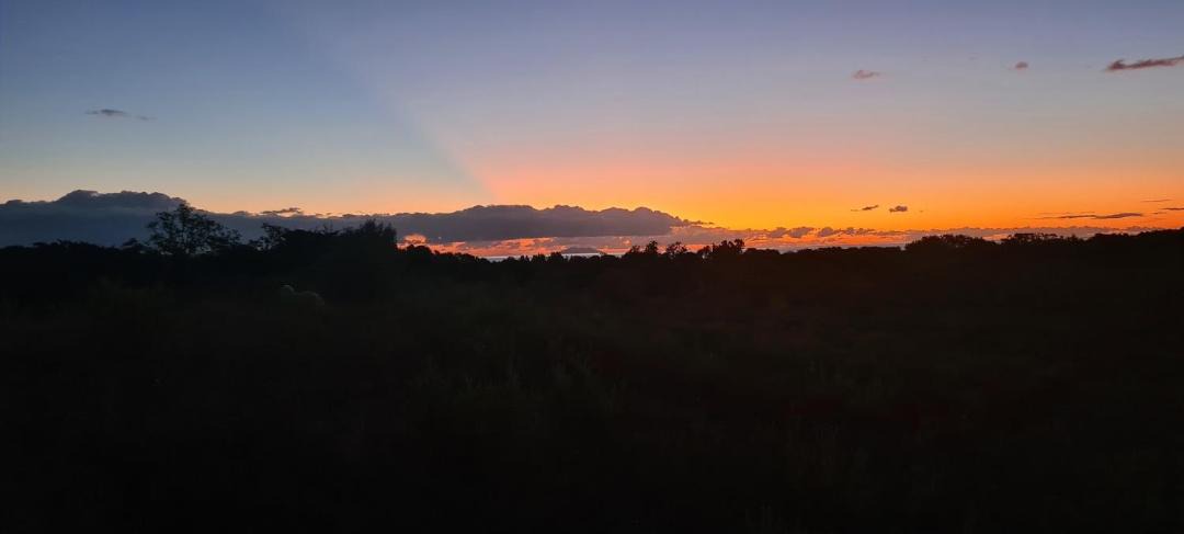 Photo of Others in Casamozza