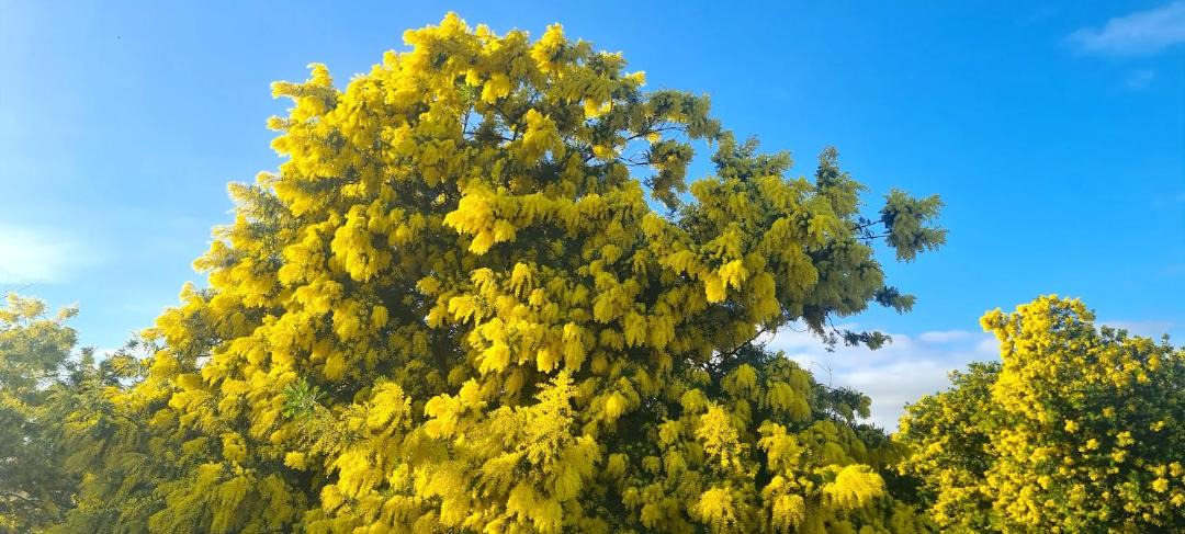 Photo of Others in Casamozza