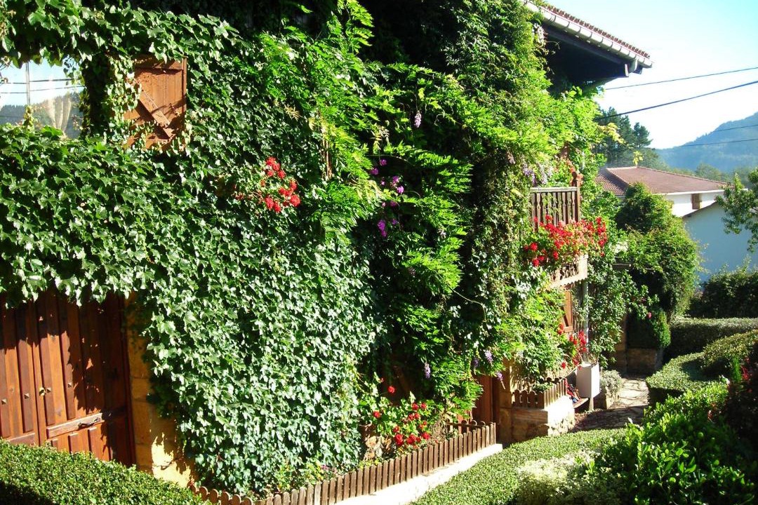 Photo of Others in Traslavina