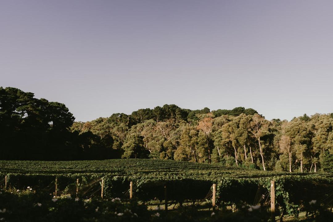 Photo of Others in Shoreham