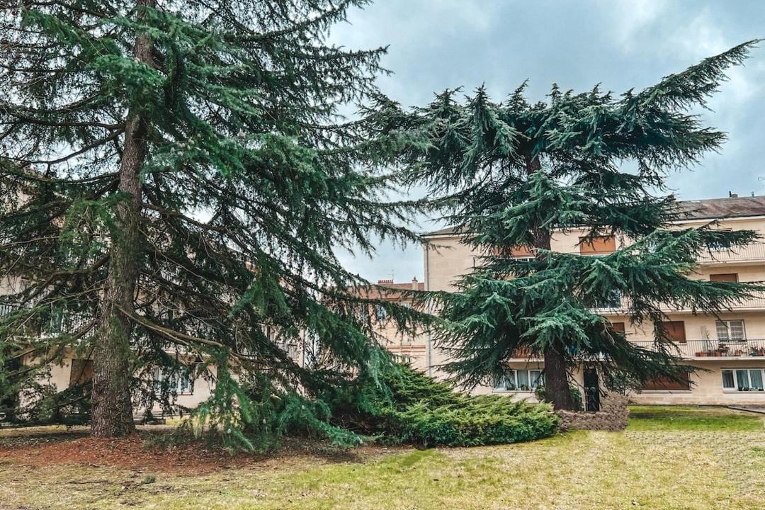 Photo of Others in Maisons-Laffitte