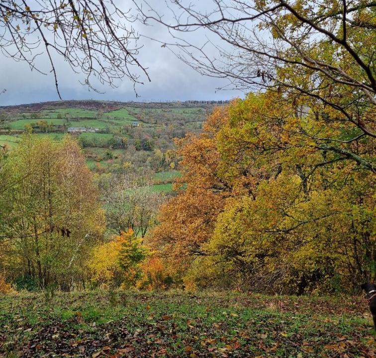 Photo of Others in La Celle-sous-Gouzon