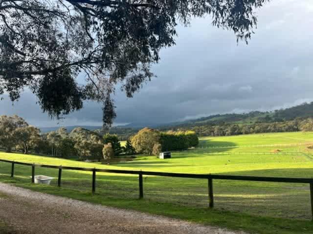 Photo of Others in Limonite