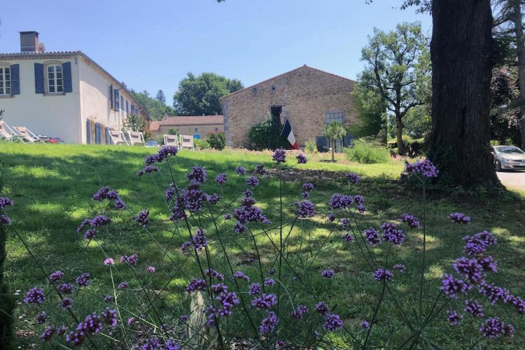 Photo of Others in Castres