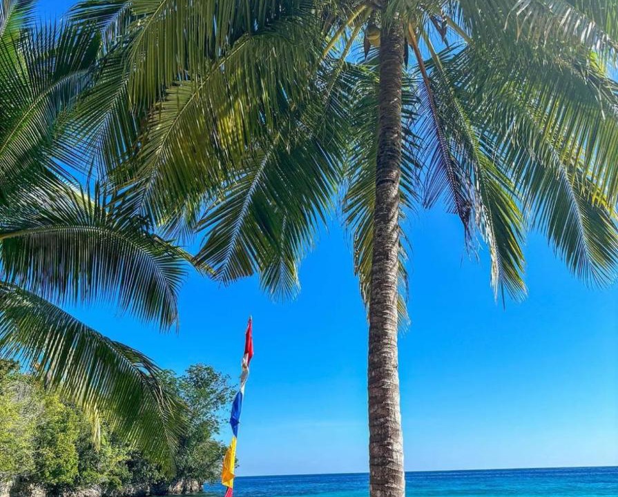 Photo of Others in Batudaka Island
