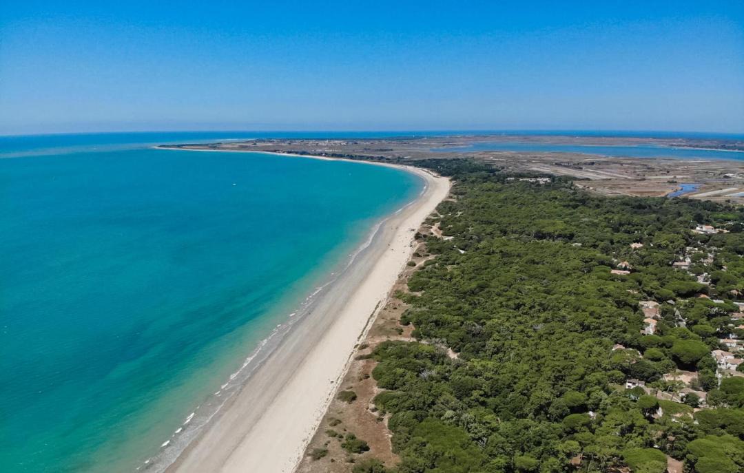 Photo of Others in La Couarde-sur-Mer