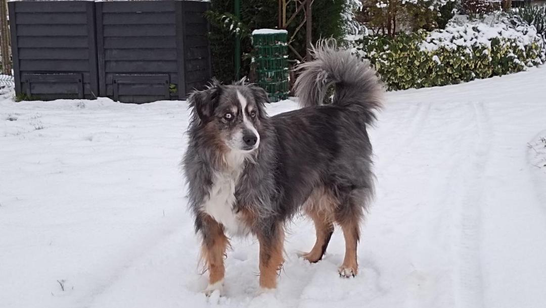 Photo of Others in Rouillon