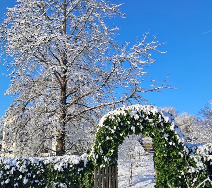 Photo of Others in Rouillon
