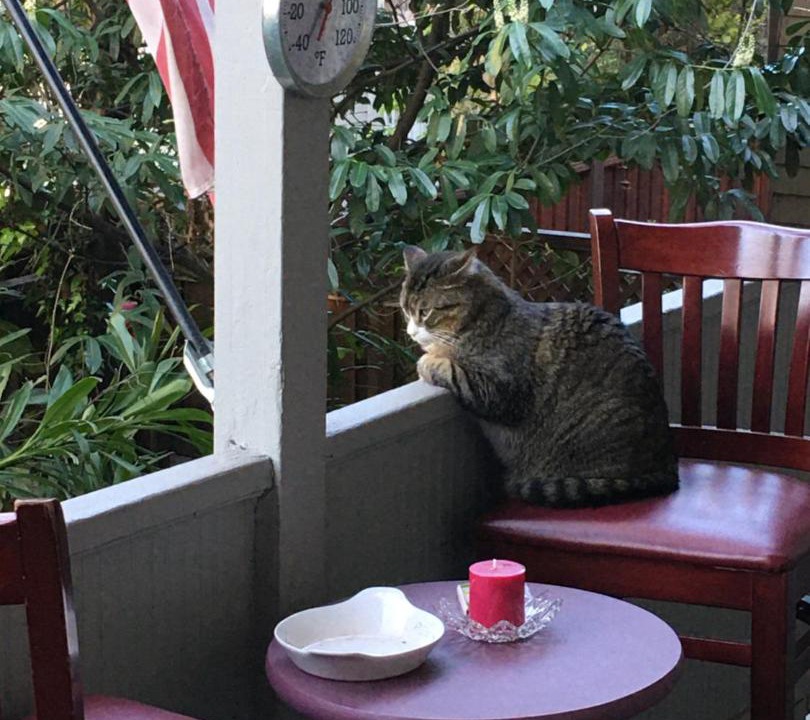 Photo of Patio Balcony in Boulevard Park