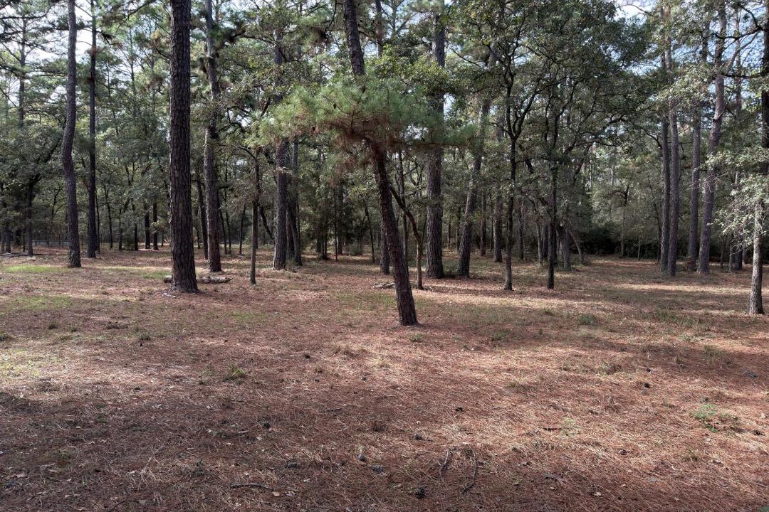 Photo of Others in Circle D-KC Estates