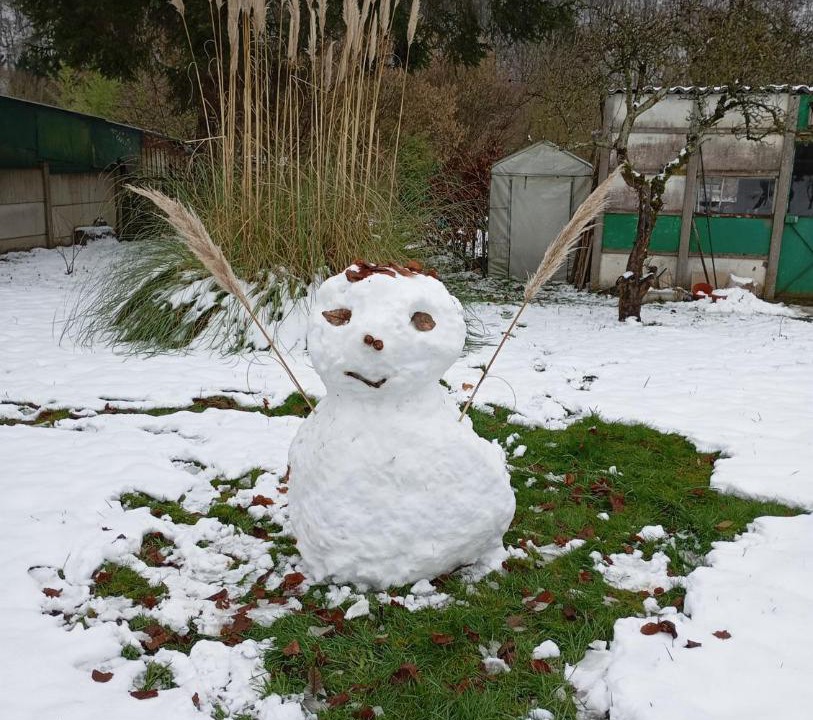 Photo of Others in Revin