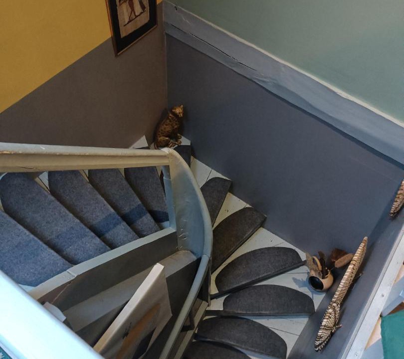 Photo of Others in Saint-Pierre-de-Plesguen