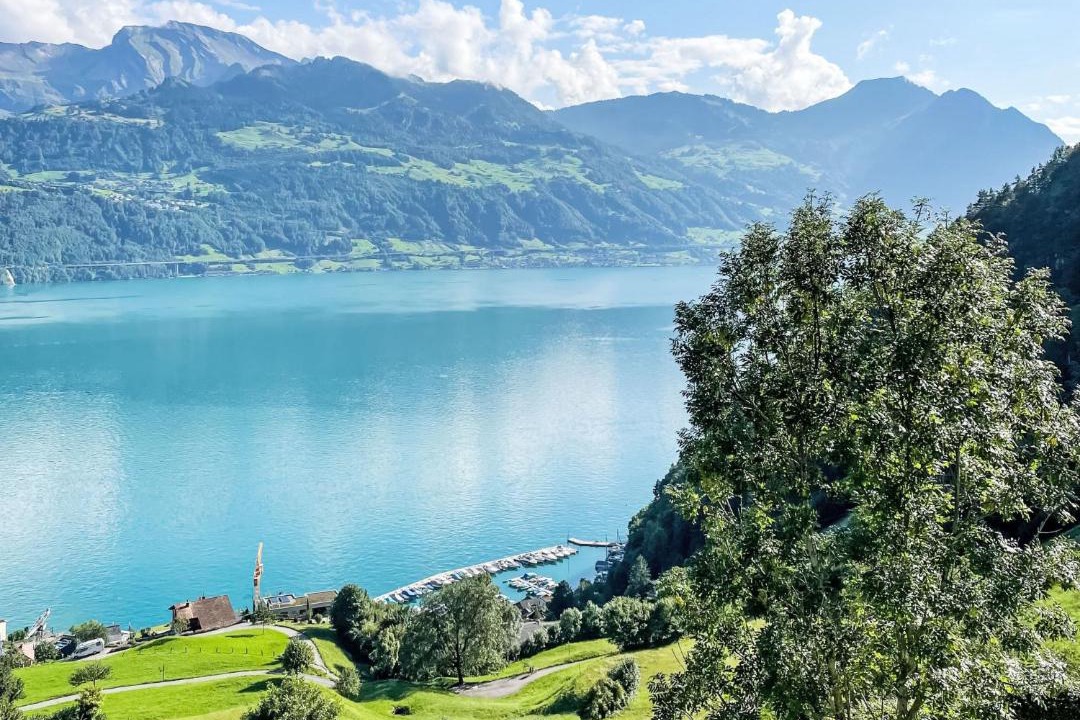 Photo of Others in Gersau