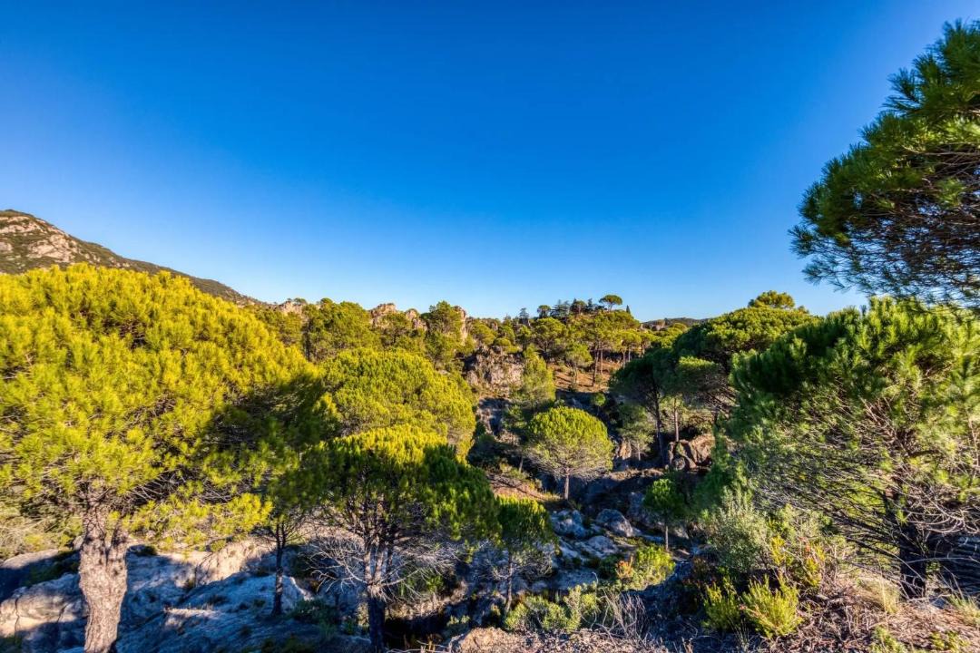 Photo of Others in Moureze