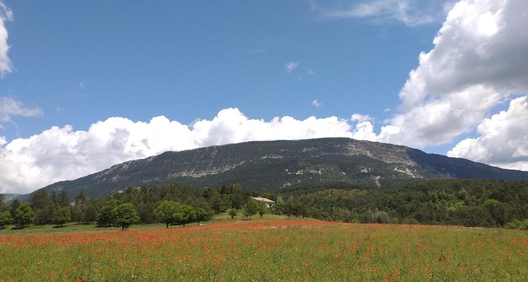 Photo of Others in Saint-Andre-les-Alpes
