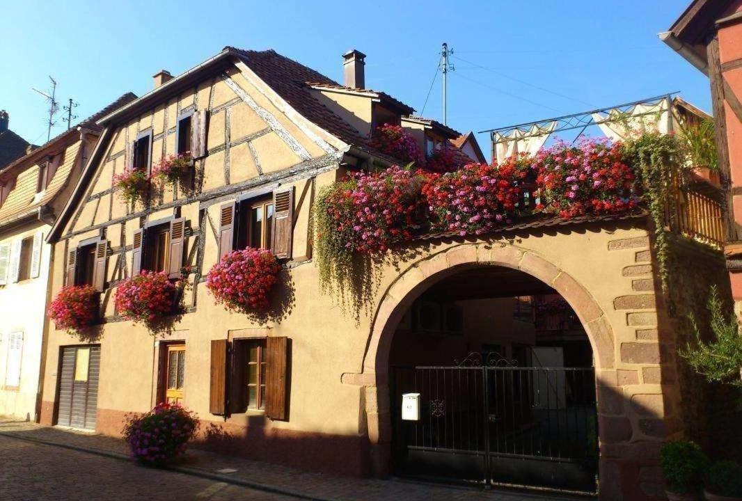 Photo of Others in Kientzheim