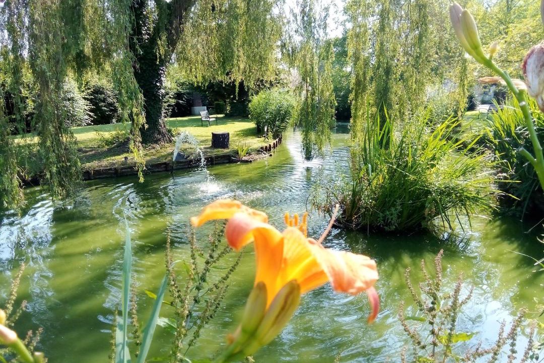 Photo of Others in Rue