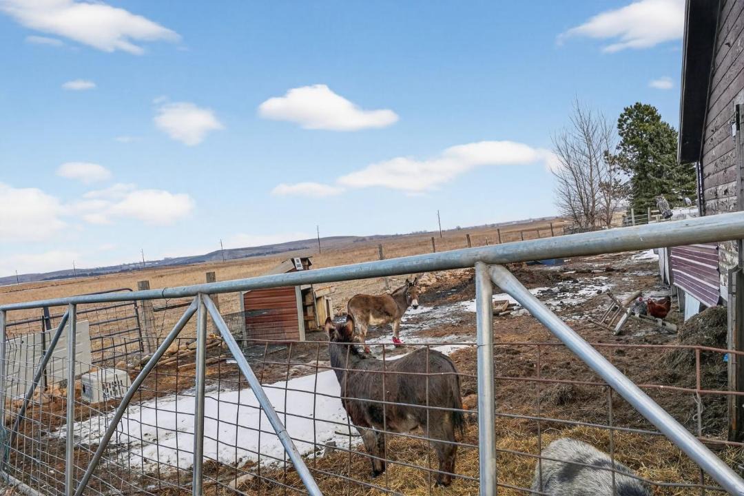 Photo of Others in Buffalo Ridge