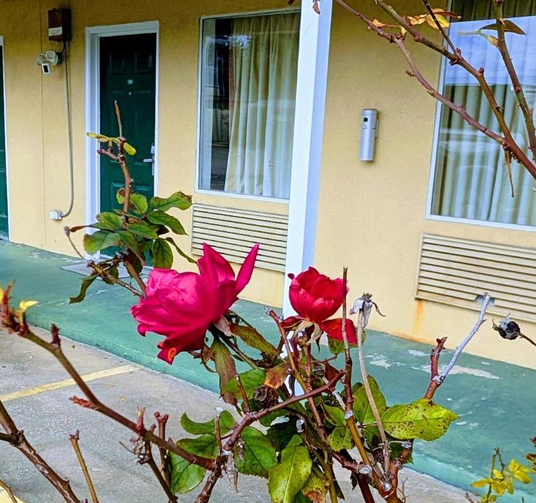 Photo of Others in Pascagoula