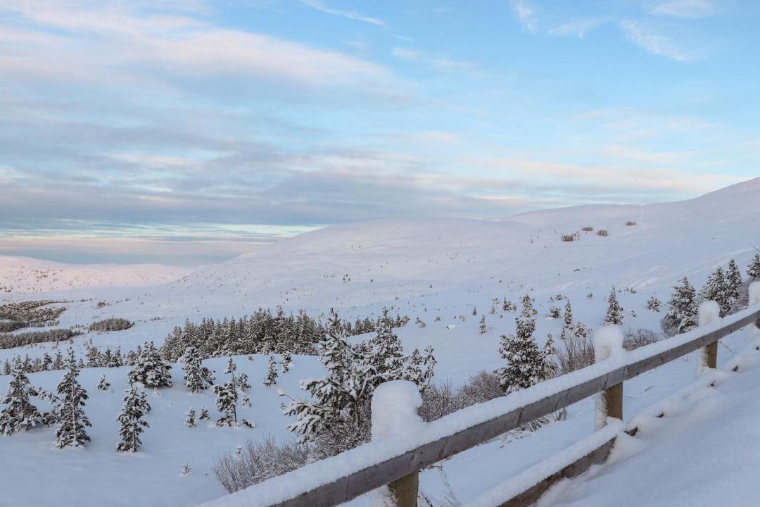 Photo of Others in Alvie