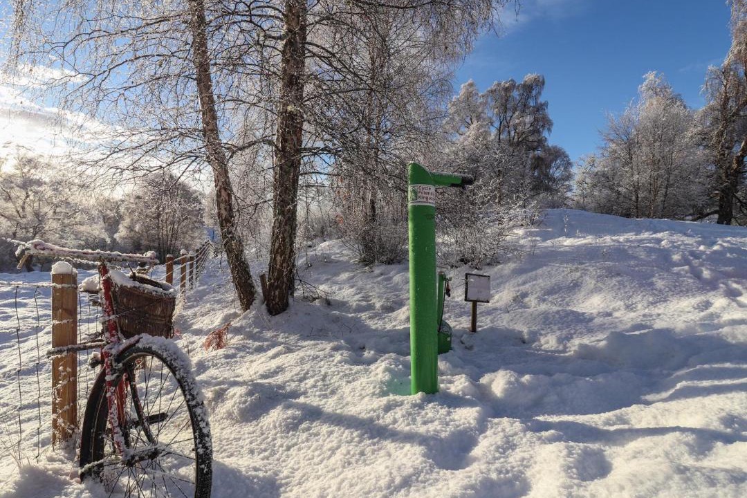 Photo of Others in Alvie