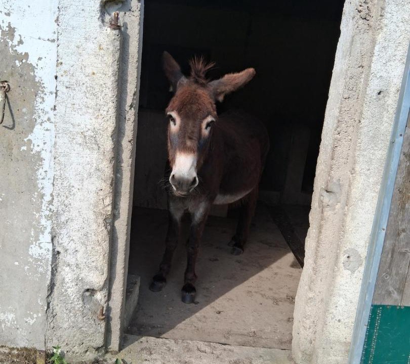 Photo of Others in Nabringhen