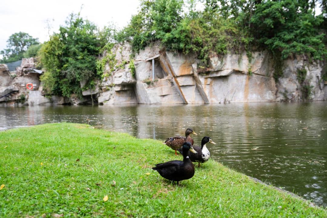 Photo of Others in Conde-sur-Sarthe