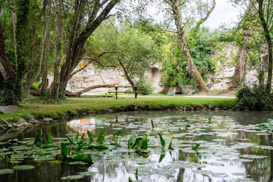 Photo of Others in Conde-sur-Sarthe