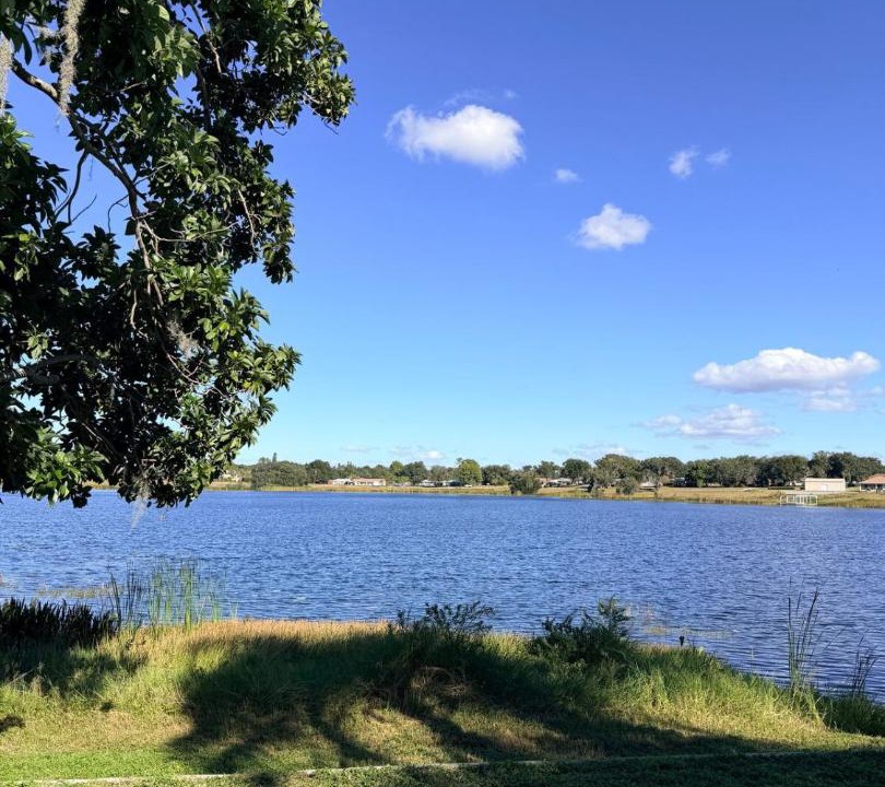 Photo of Others in Lake Hamilton