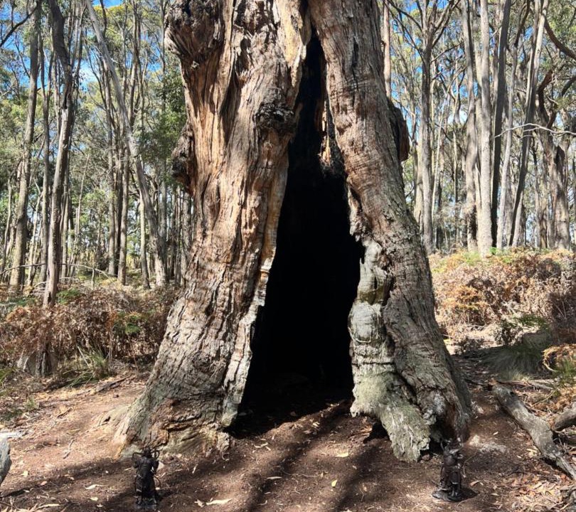 Photo of Others in Dean