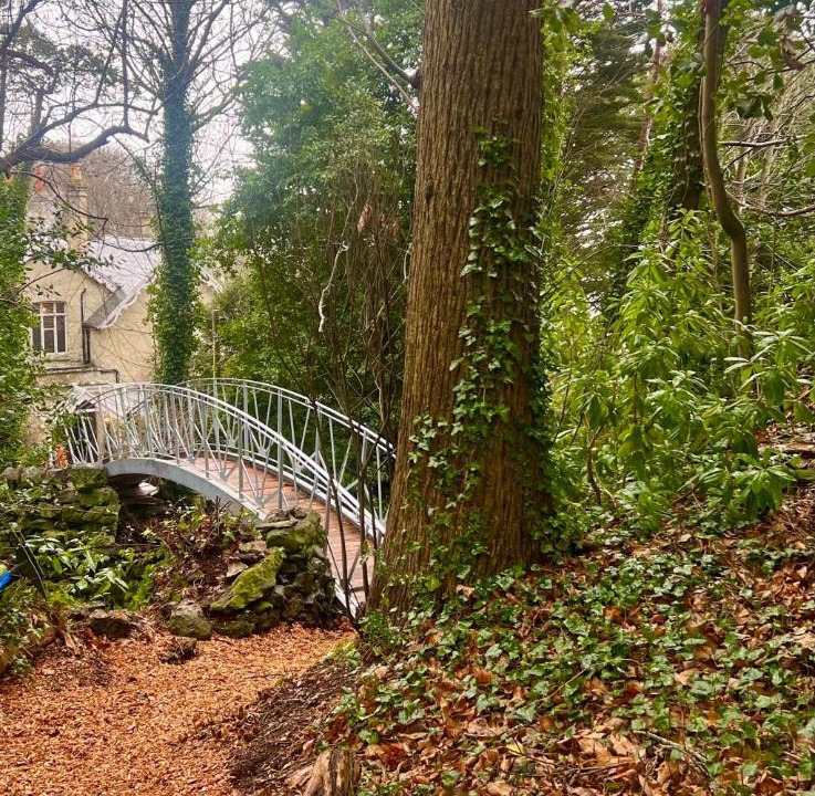 Photo of Others in Bonchurch