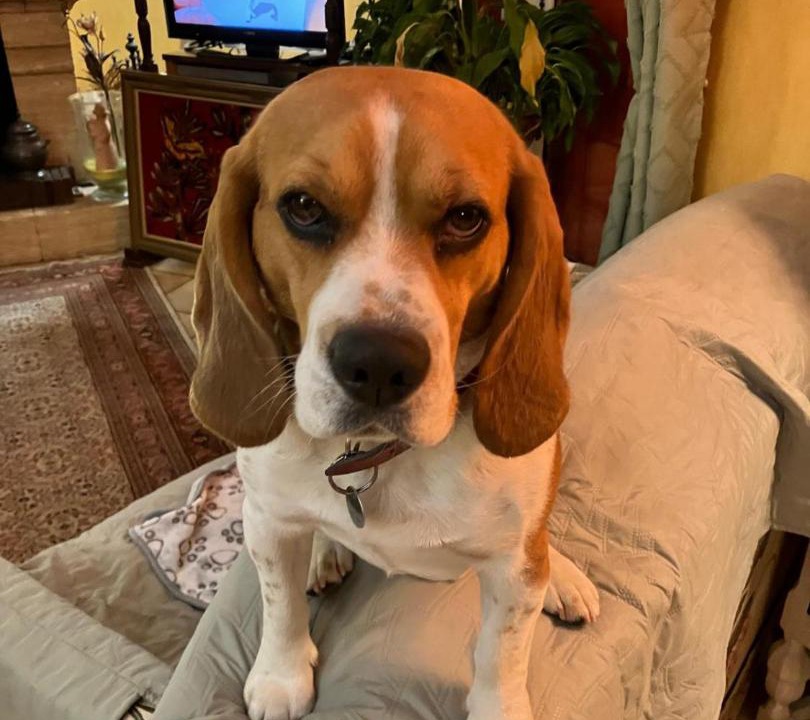 Photo of Others in Cauge