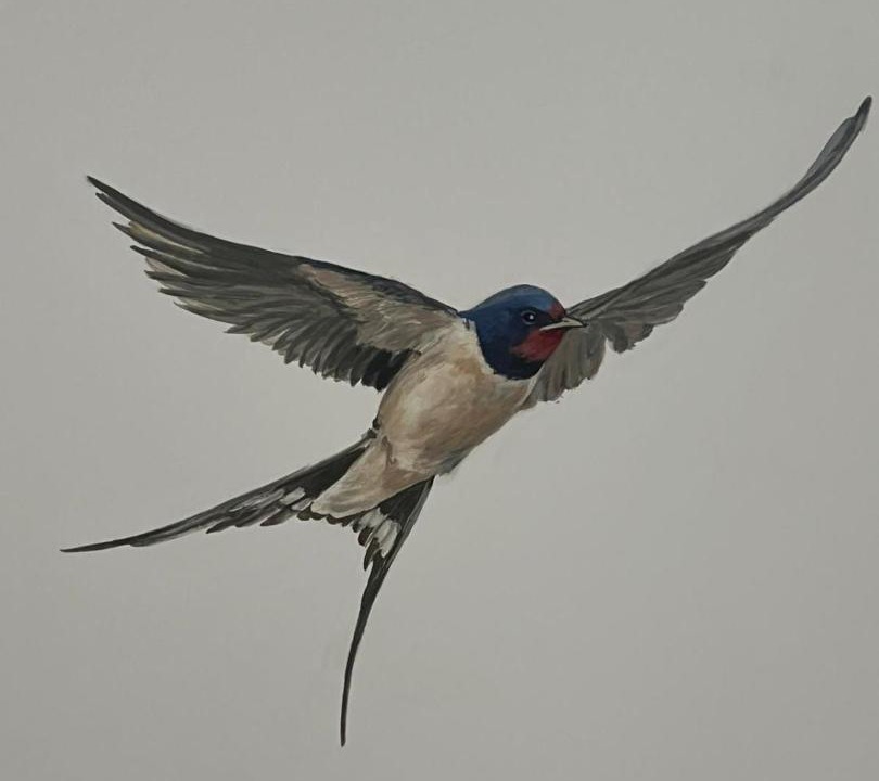 Photo of Others in Jaligny-sur-Besbre