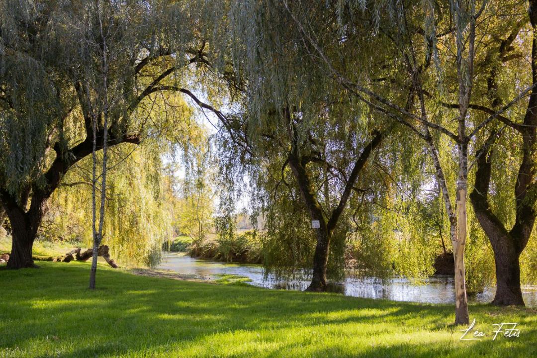 Photo of Others in Saint-Angeau