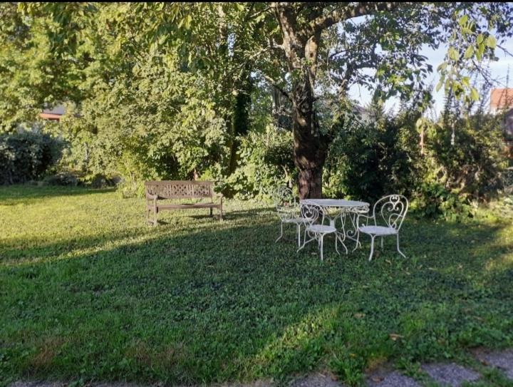 Photo of Others in Marendiere - Fouillouse