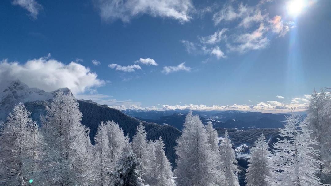Photo of Others in Saint-Leger-les-Melezes