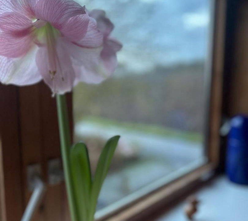 Photo of Others in Aeroskobing