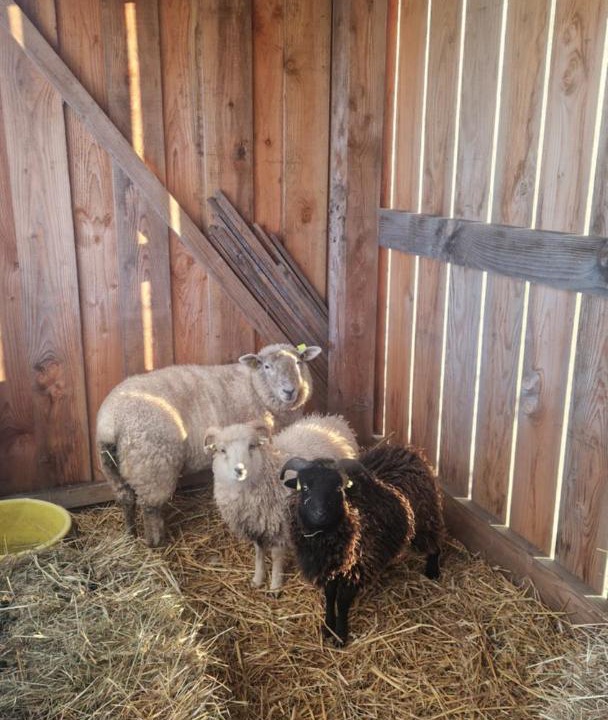 Photo of Others in Saint-Saire