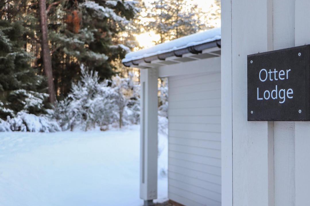 Photo of Others in Alvie