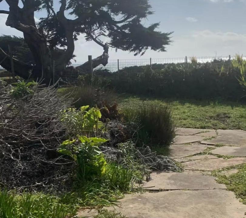 Photo of Others in Sereno del Mar