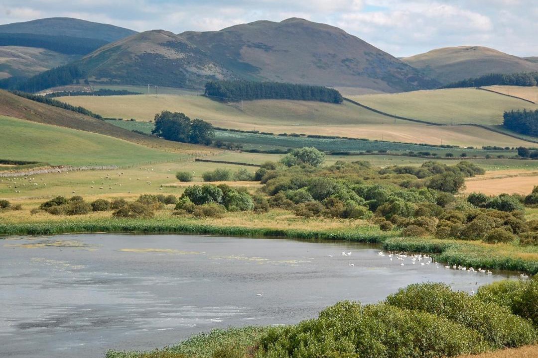 Photo of Others in Kelso