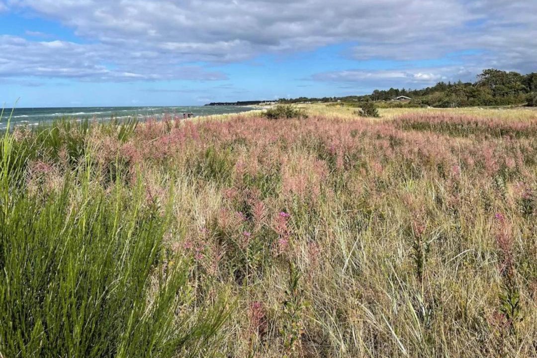 Photo of Others in Fjellerup