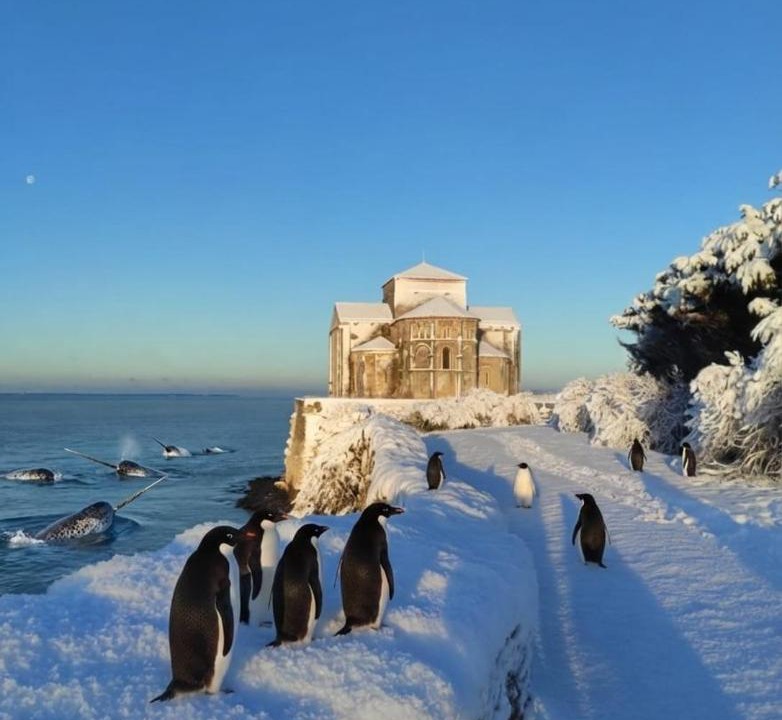Photo of Others in Talmont-sur-Gironde