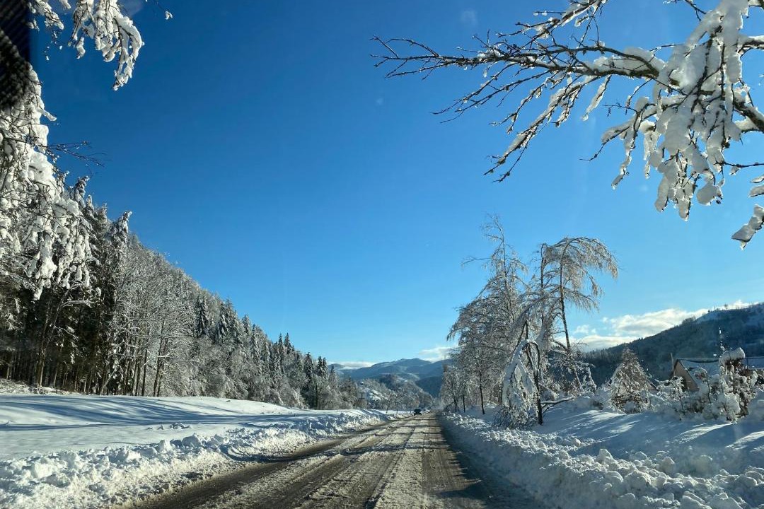 Photo of Others in Kruth