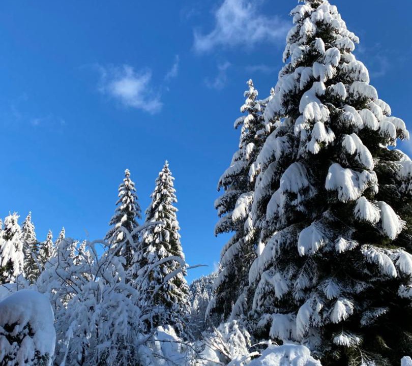 Photo of Others in Kruth