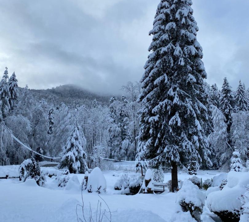 Photo of Others in Kruth