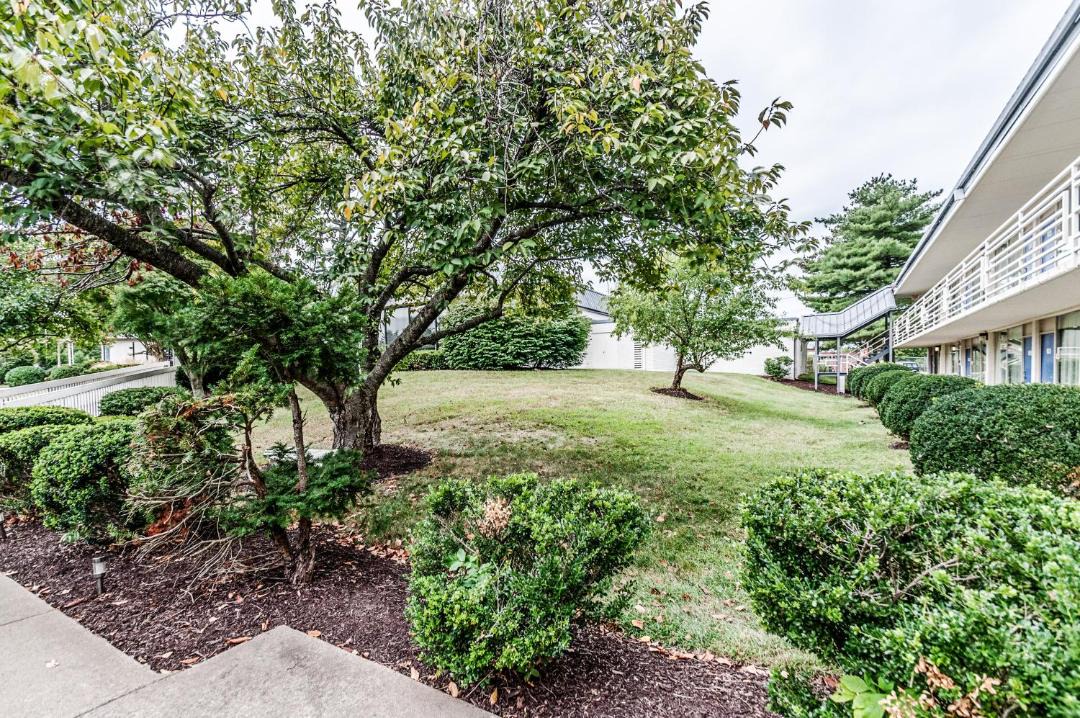 Photo of Others in Montclair