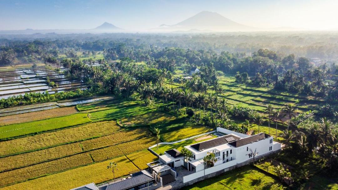 Photo of Others in Pejeng Kawan