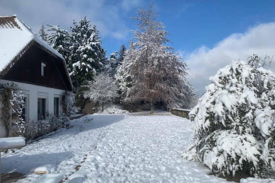 Photo of Others in Lalley